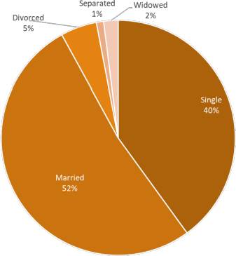 Marital Status Demographics Chart